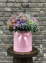 Цветочная композиция из Гипсофила и Розы в шляпной коробке в Амазаре