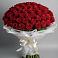Букет 101 Красная роза Блэк Мэджик в Амазаре