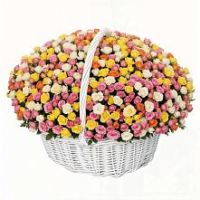 Премиум букет из: Розы в Амазаре