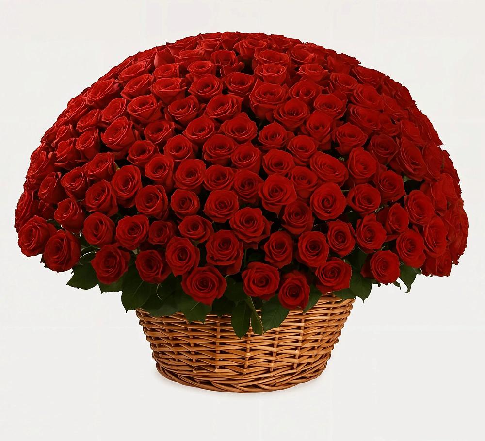 Премиум букет из: Розы в Амазаре