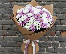 Букет цветов из:  Хризантемы #REPLACE_PRED# Амазаре