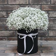 Цветочная композиция из Гипсофила в шляпной коробке в Амазаре