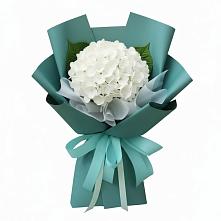 Букет цветов из:  Гортензия в Амазаре